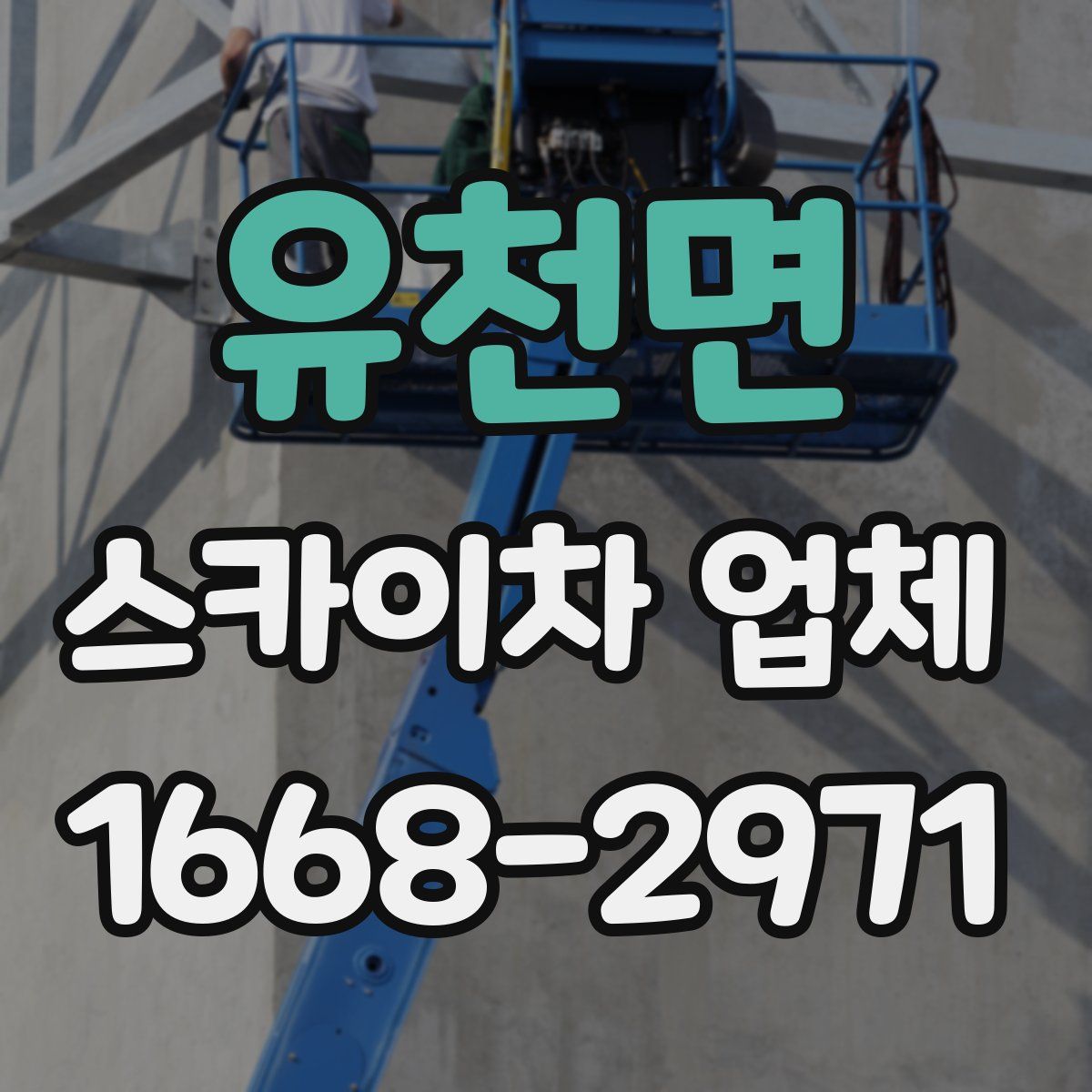 유천면 스카이차 업체