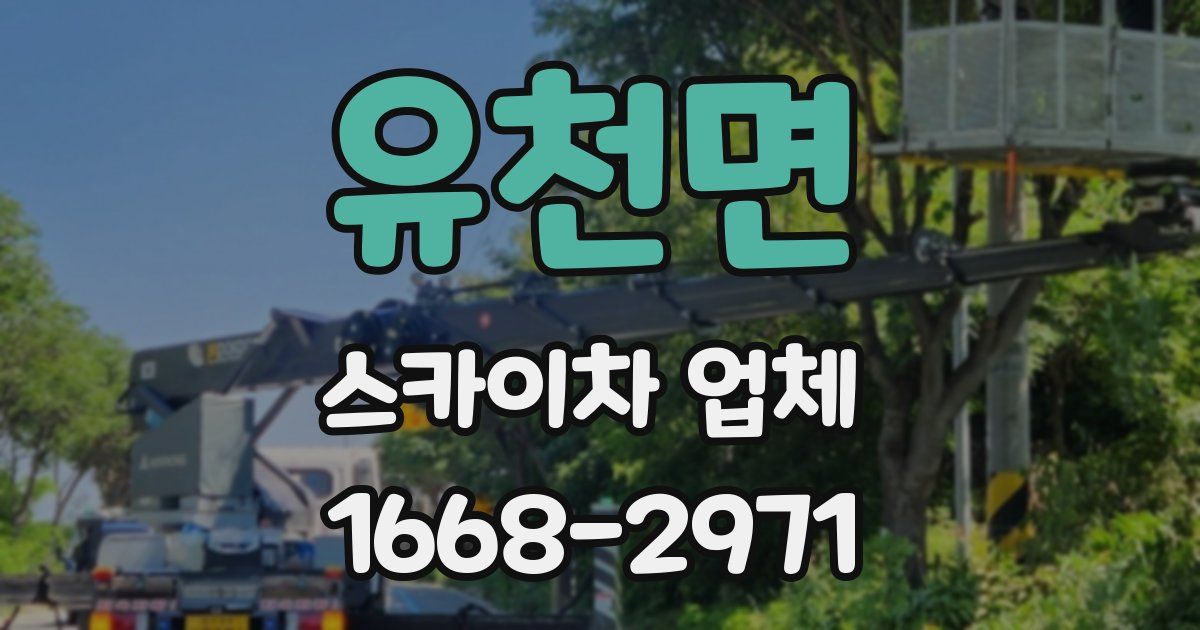 유천면 스카이차 업체