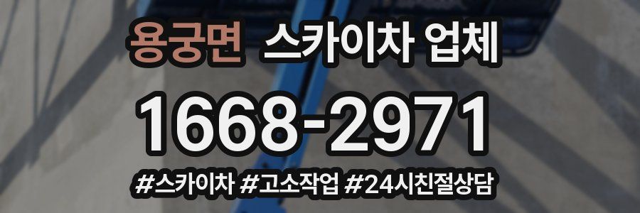 용궁면 스카이차 업체