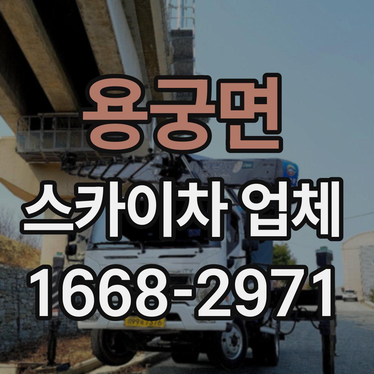 용궁면 스카이차 업체