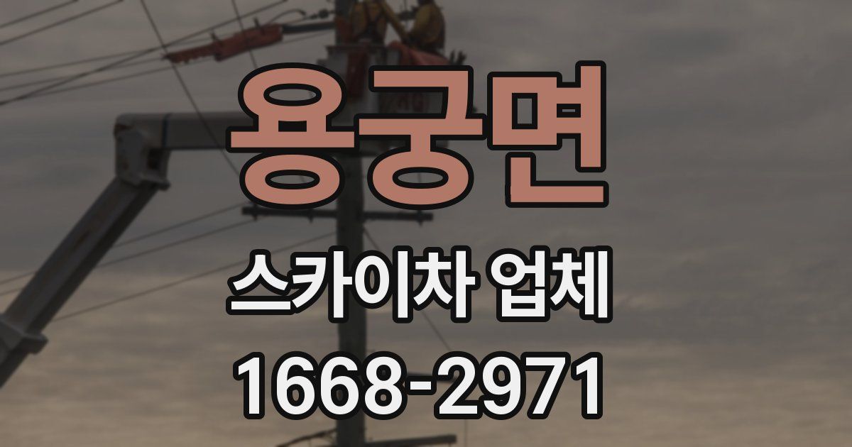 용궁면 스카이차 업체