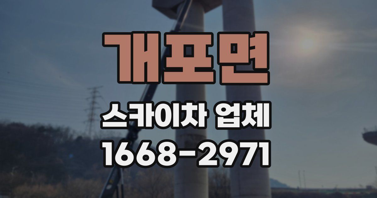 개포면 스카이차 업체