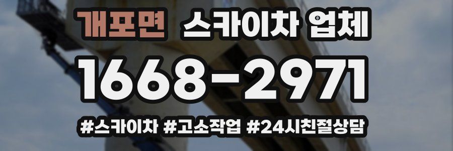 개포면 스카이차 업체
