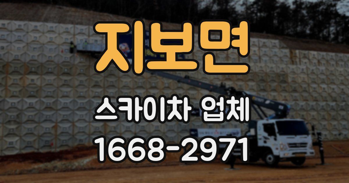 지보면 스카이차 업체