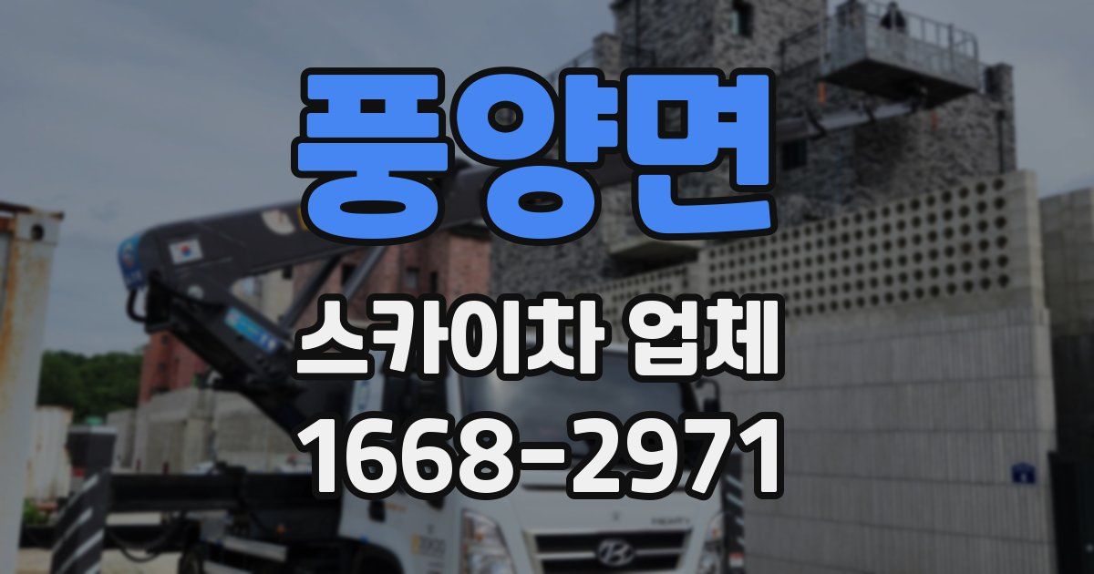 풍양면 스카이차 업체