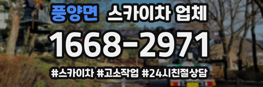 풍양면 스카이차 업체
