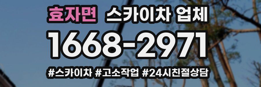 효자면 스카이차 업체