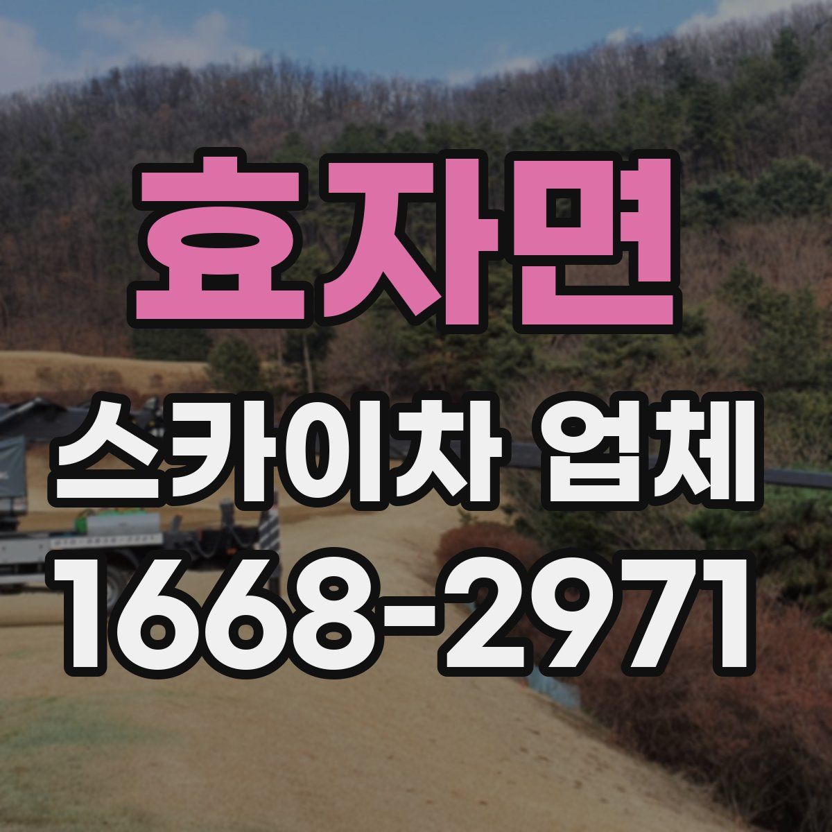 효자면 스카이차 업체