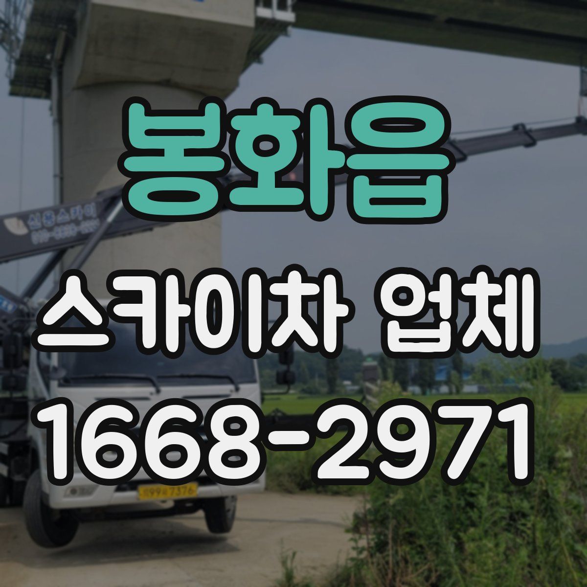 봉화읍 스카이차 업체