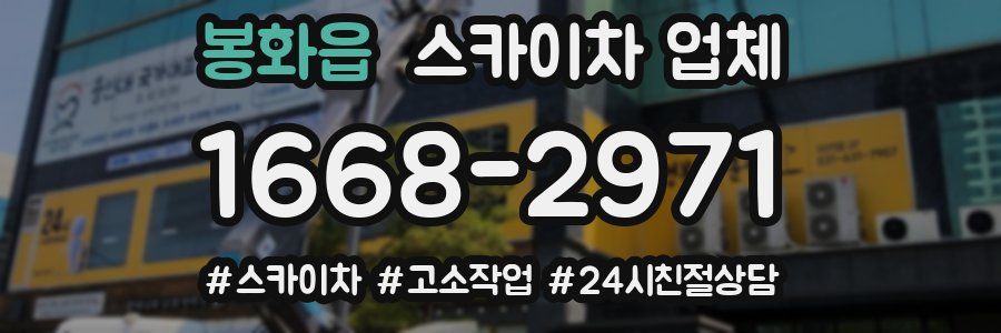 봉화읍 스카이차 업체