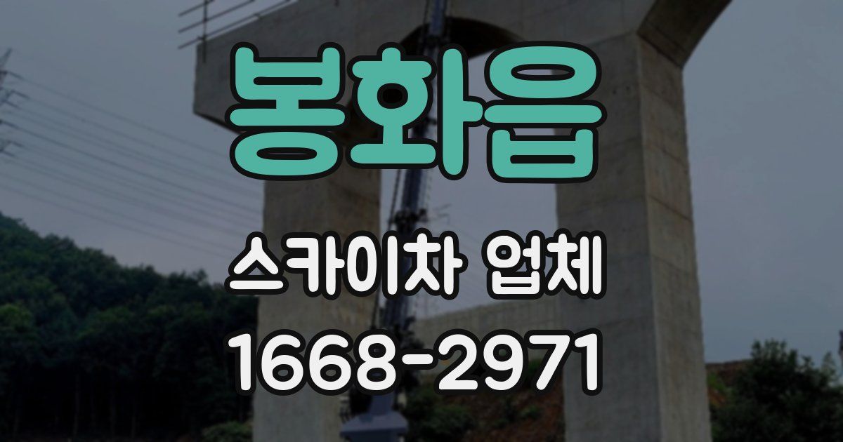 봉화읍 스카이차 업체
