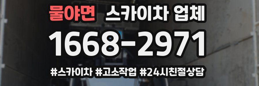 물야면 스카이차 업체