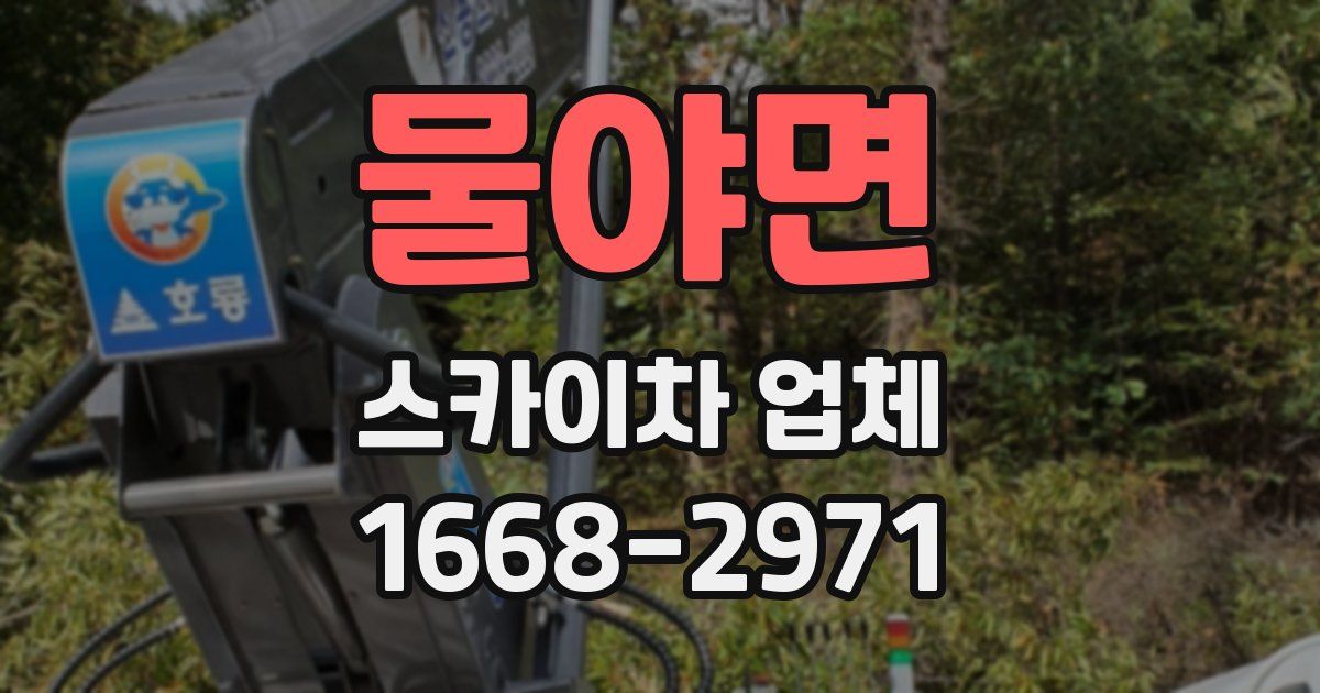 물야면 스카이차 업체