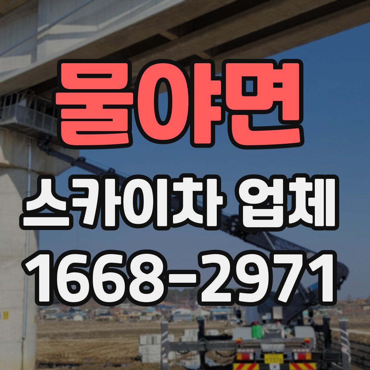물야면 스카이차 업체