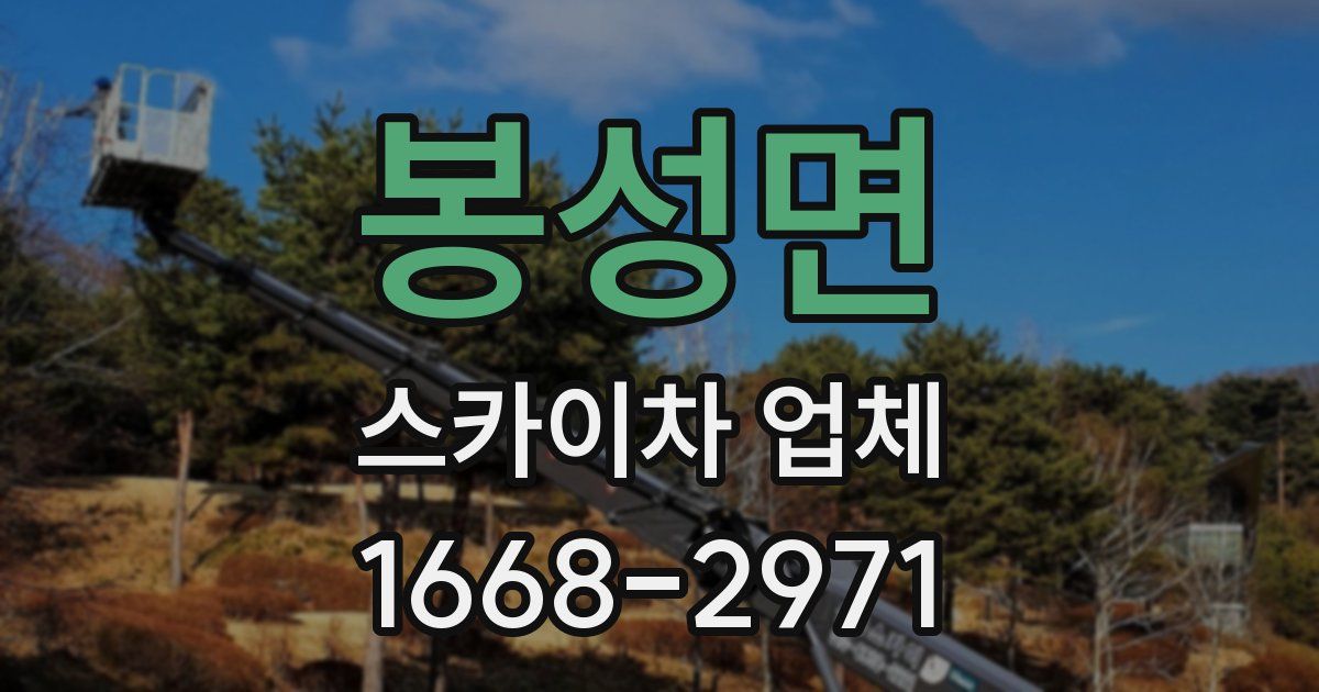 봉성면 스카이차 업체