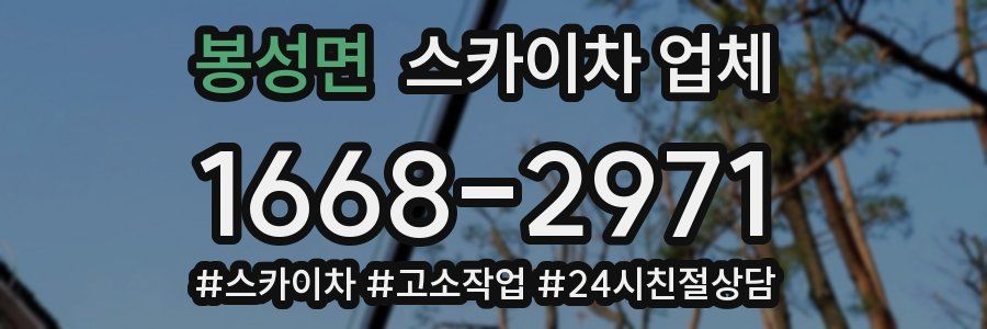 봉성면 스카이차 업체