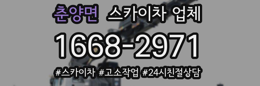 춘양면 스카이차 업체