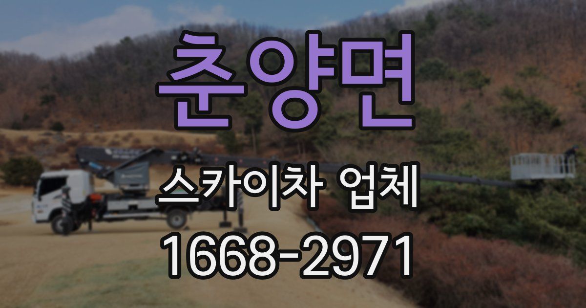 춘양면 스카이차 업체