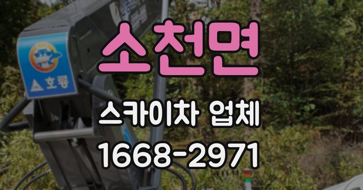 소천면 스카이차 업체