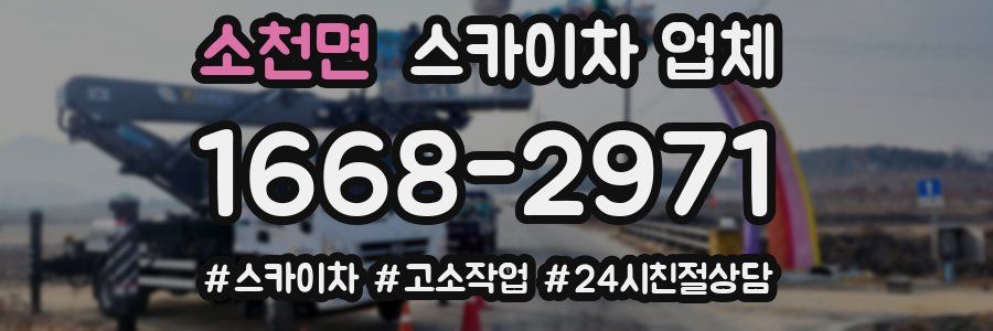 소천면 스카이차 업체