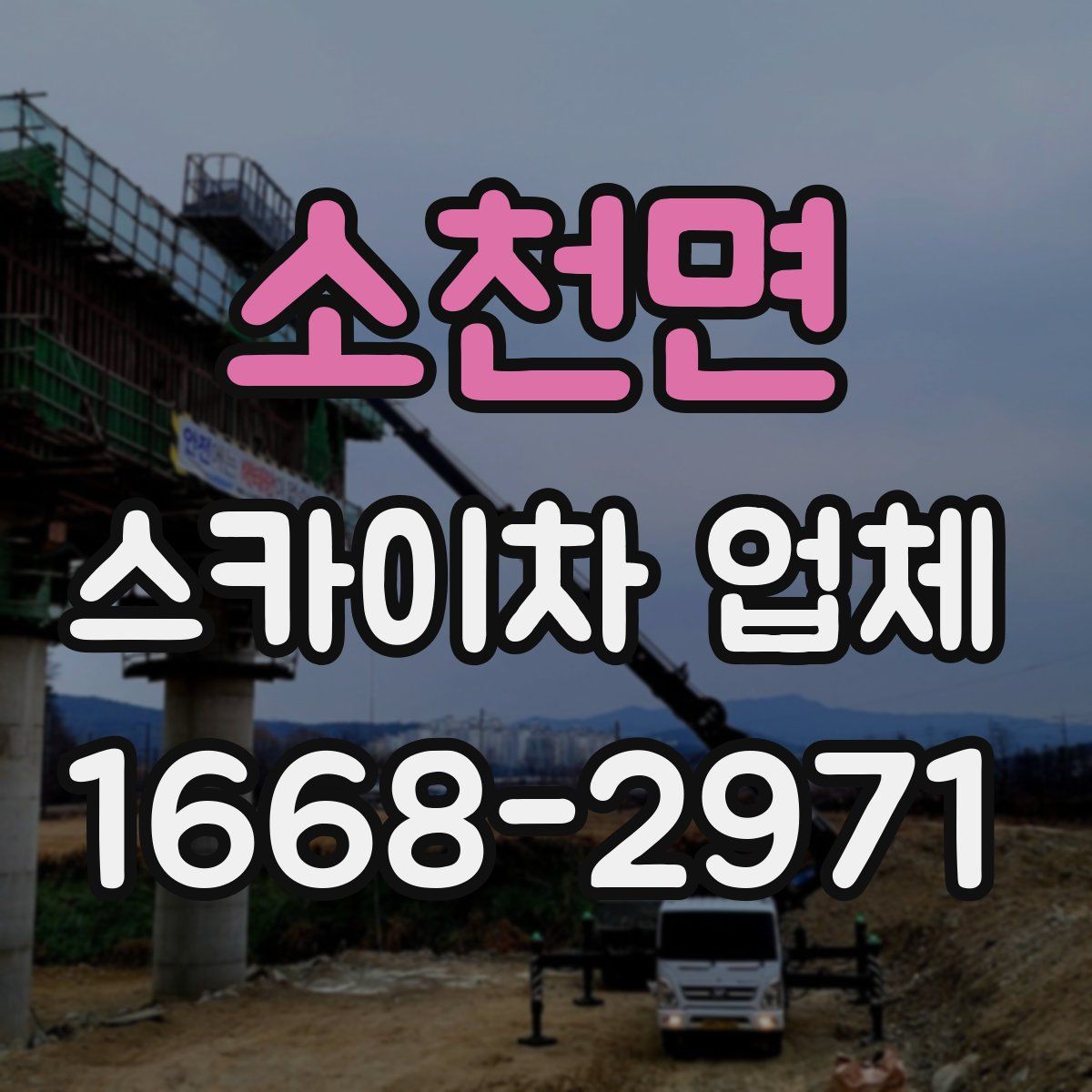 소천면 스카이차 업체