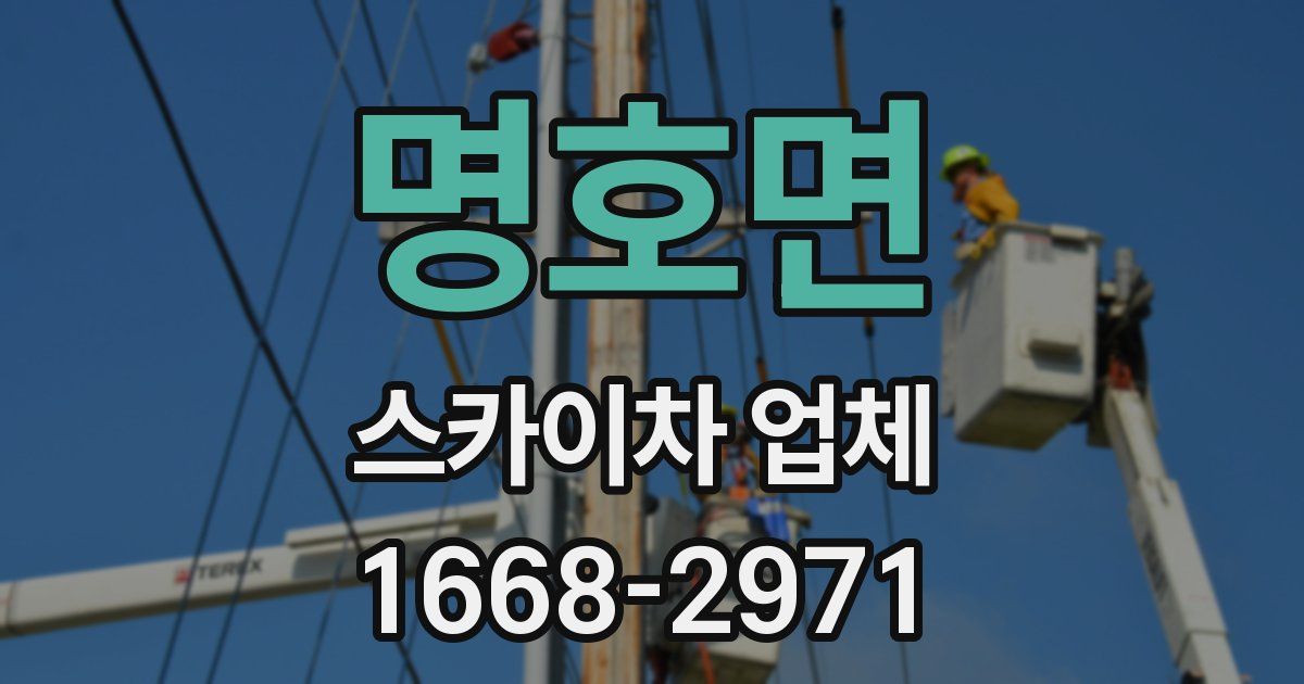 명호면 스카이차 업체