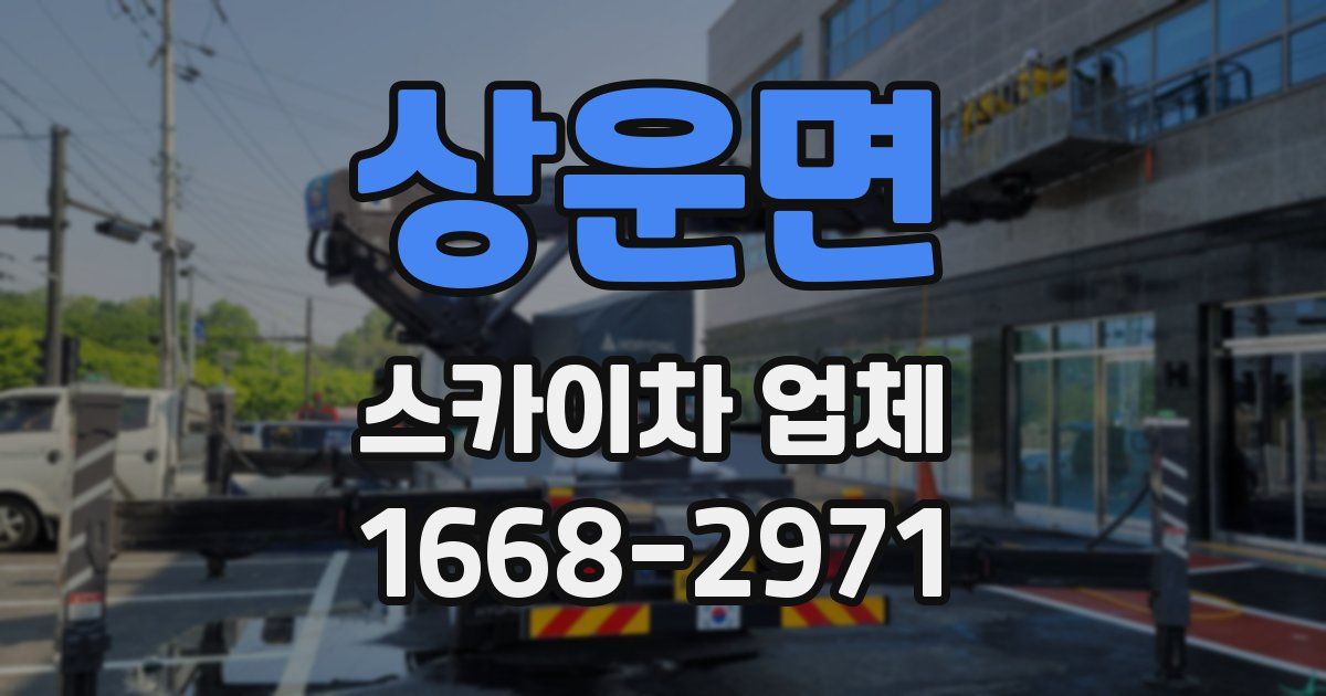 상운면 스카이차 업체