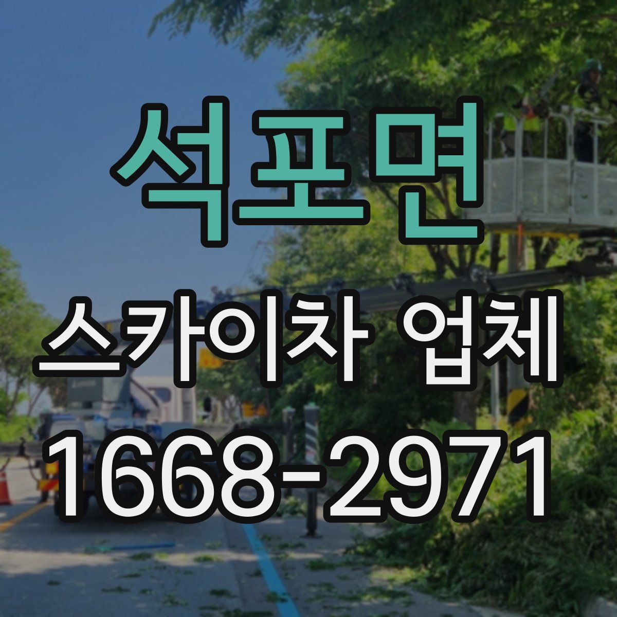 석포면 스카이차 업체