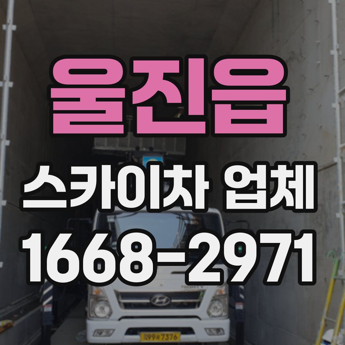 울진읍 스카이차 업체