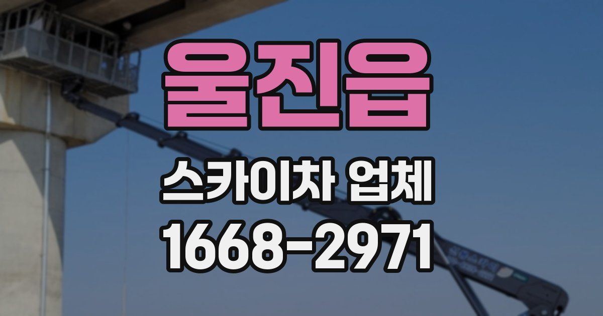 울진읍 스카이차 업체