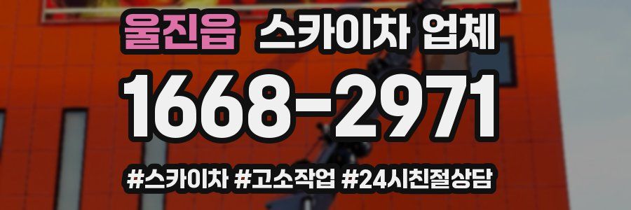 울진읍 스카이차 업체