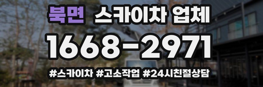 북면 스카이차 업체