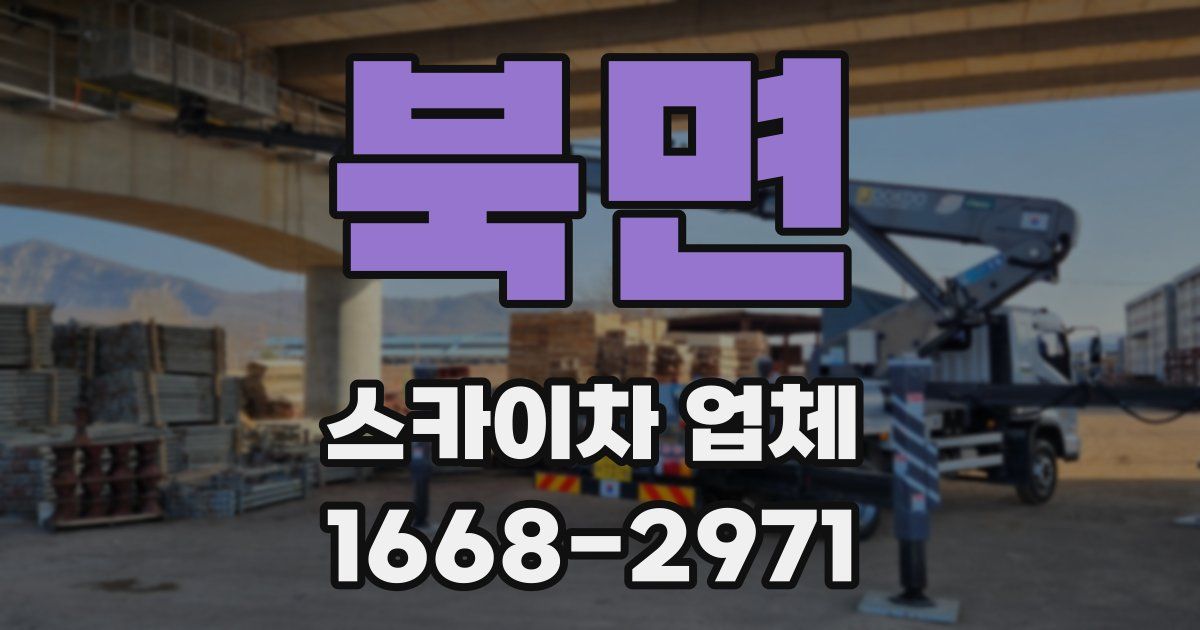 북면 스카이차 업체