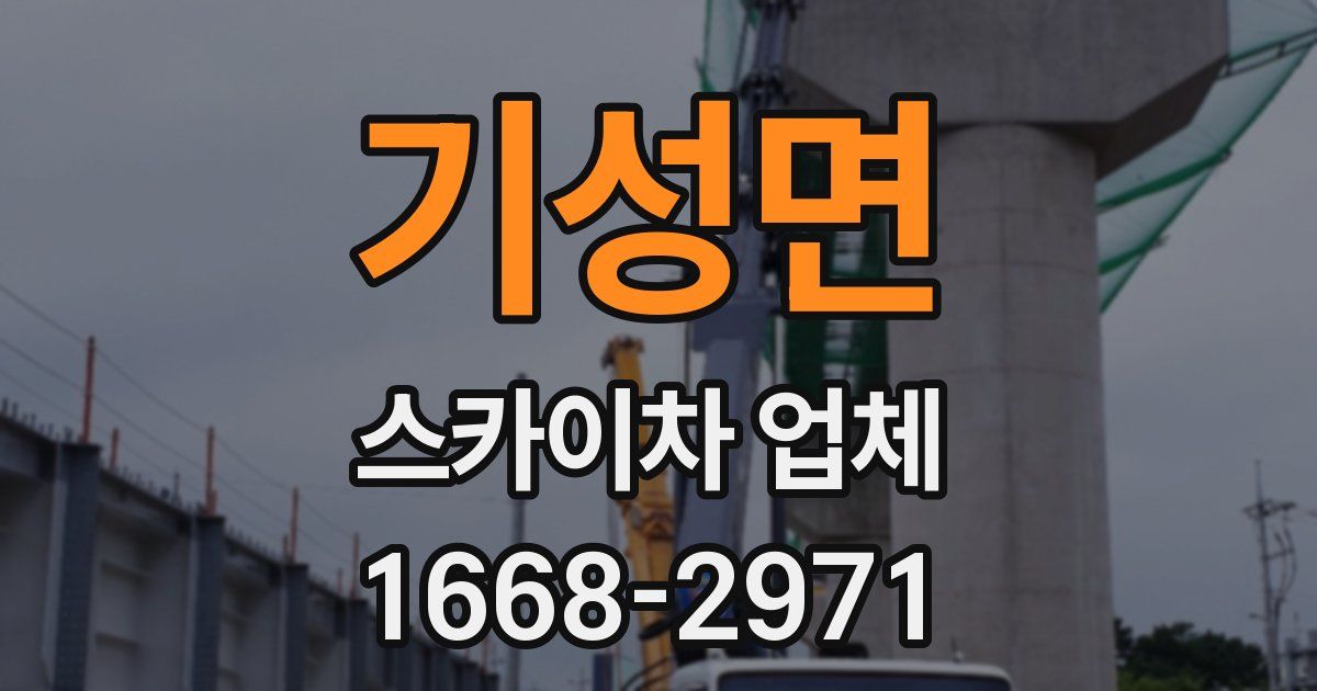 기성면 스카이차 업체