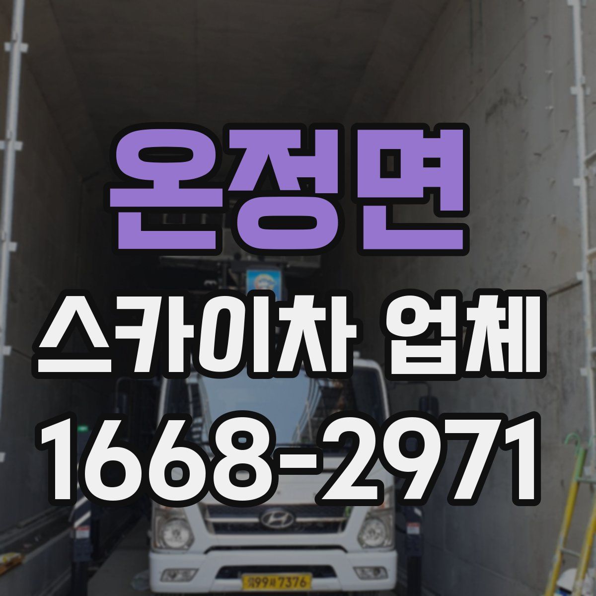 온정면 스카이차 업체