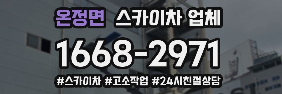 온정면 스카이차 업체