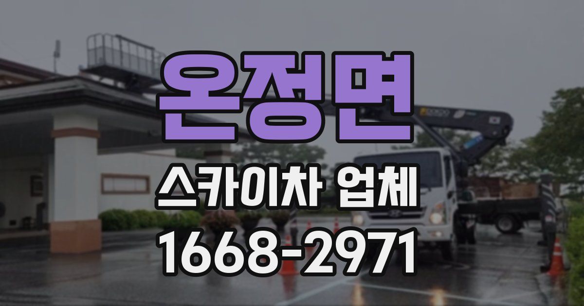 온정면 스카이차 업체