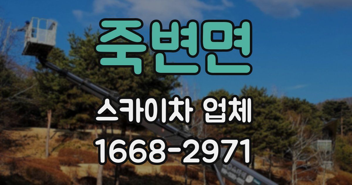 죽변면 스카이차 업체