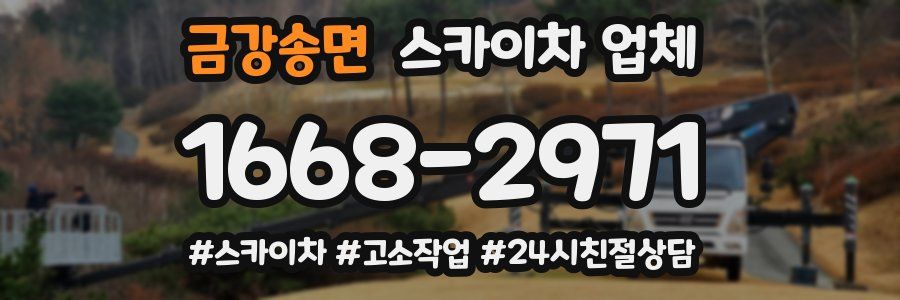 금강송면 스카이차 업체