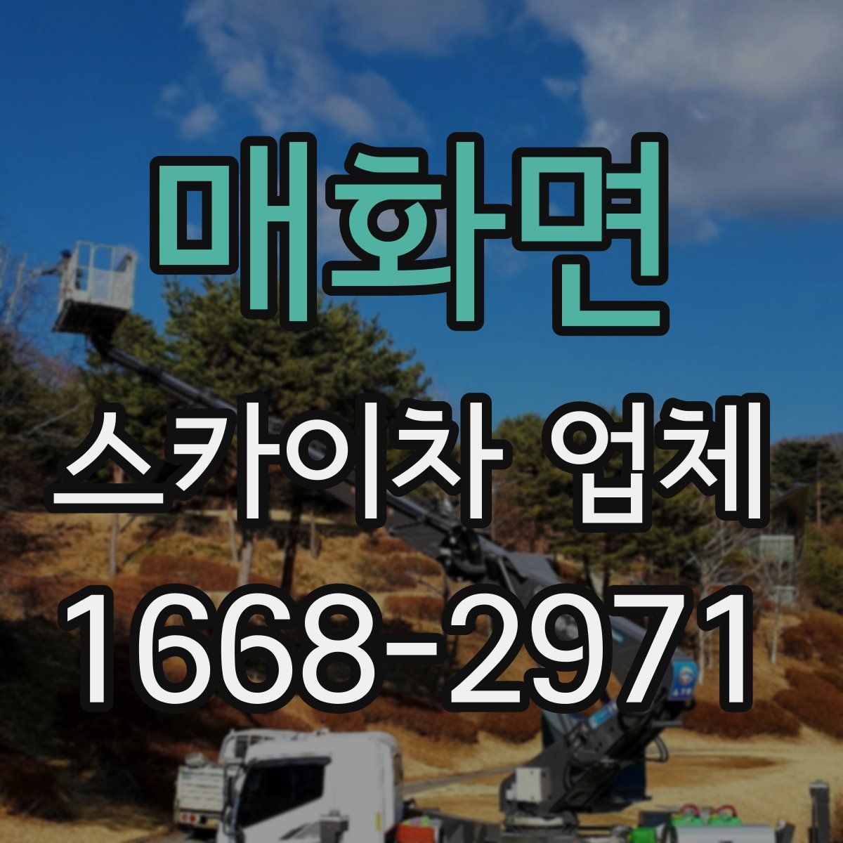 매화면 스카이차 업체