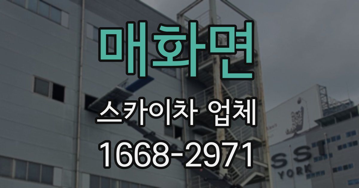 매화면 스카이차 업체