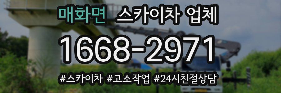 매화면 스카이차 업체