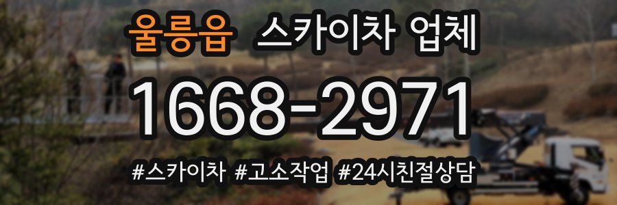 울릉읍 스카이차 업체