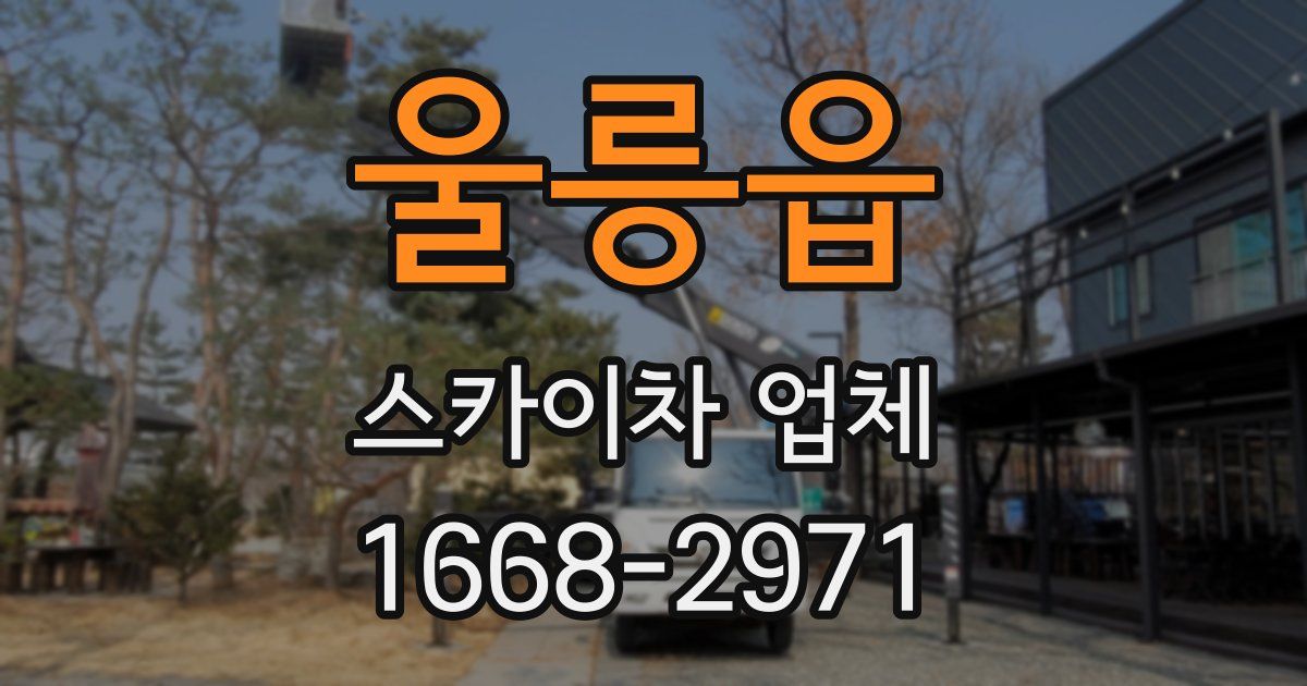 울릉읍 스카이차 업체