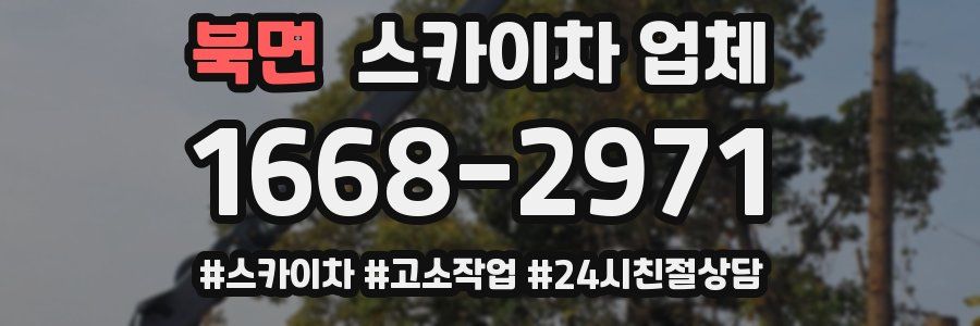 북면 스카이차 업체