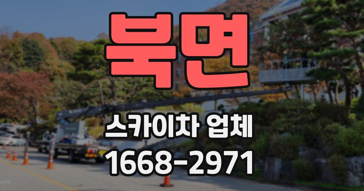 북면 스카이차 업체