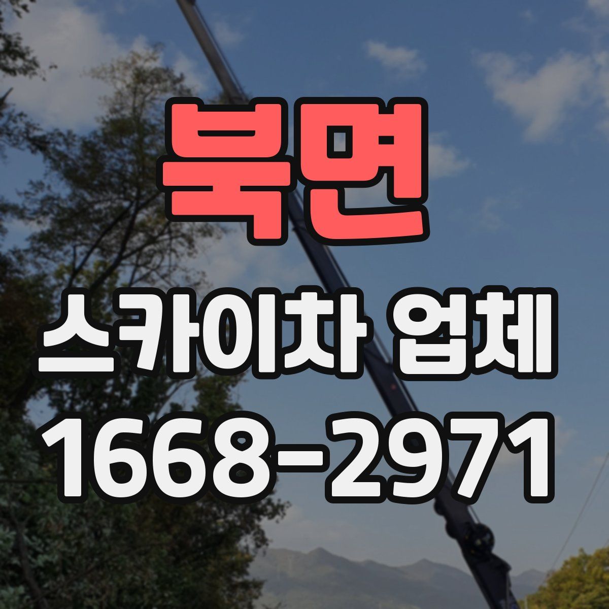 북면 스카이차 업체