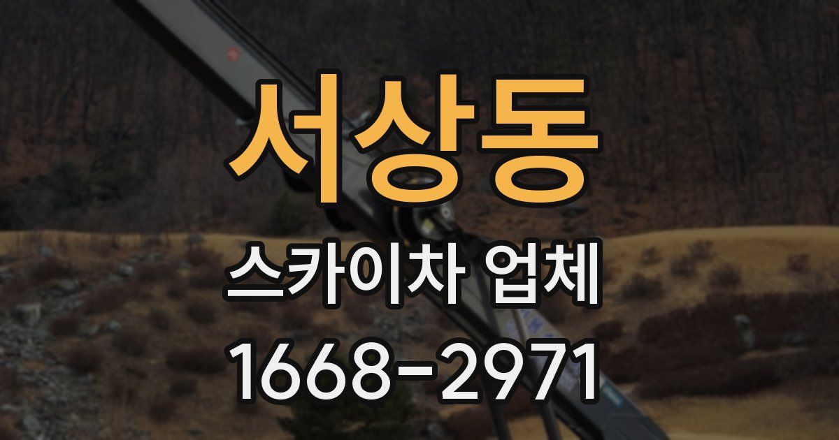 서상동 스카이차 업체