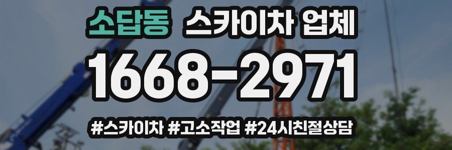 소답동 스카이차 업체