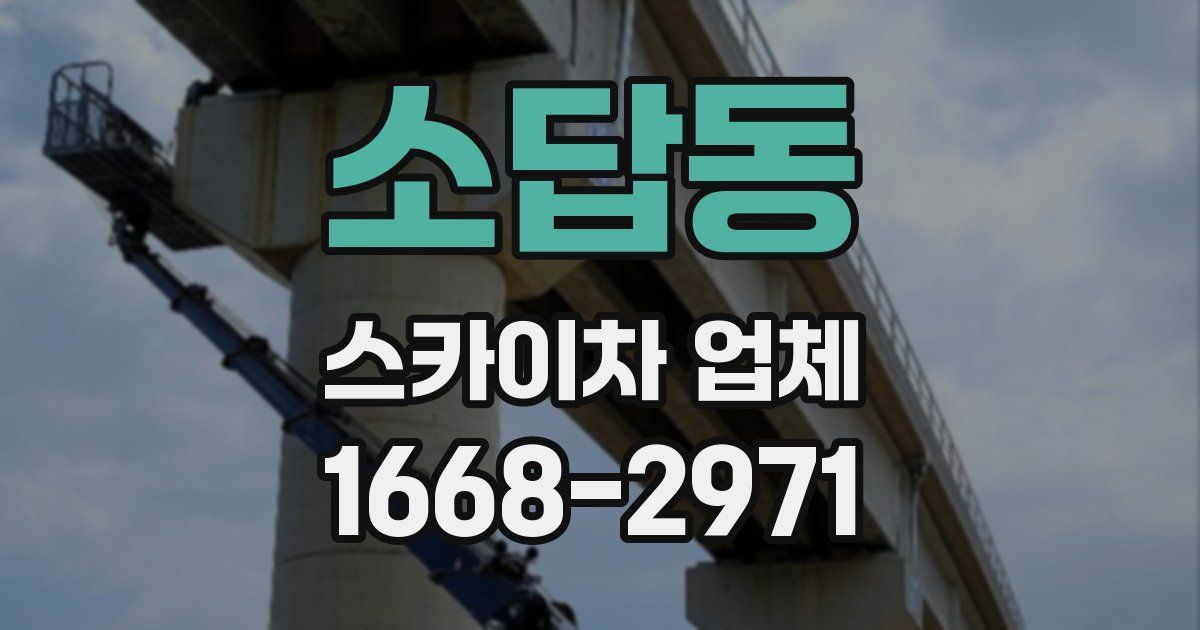 소답동 스카이차 업체